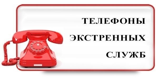 О графике работы ГУ МВД России по Московской области