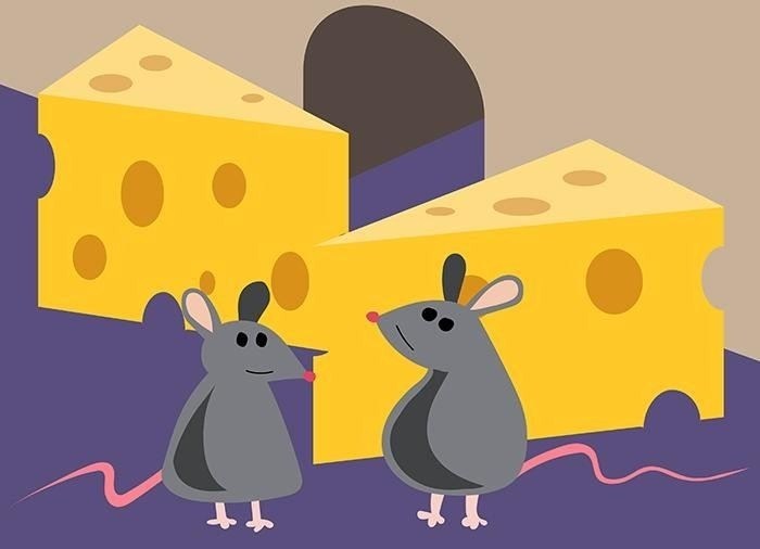 Какие активы не подлежат разделу при разводе?