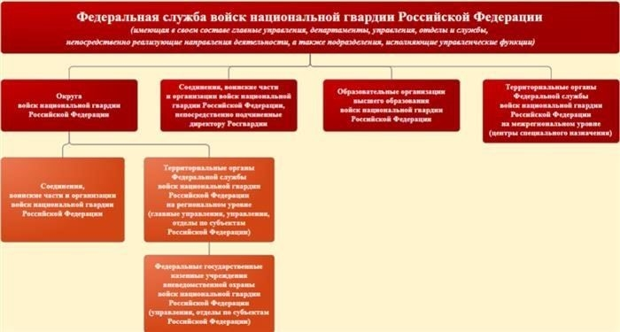 Необходимые документы для вступления в ряды Росгвардии