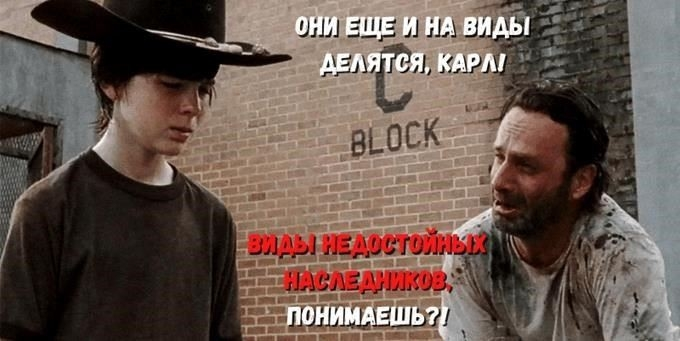 Что означает понятие