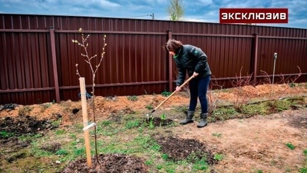 Вернуть право собственности на земельный участок после отказа от прав собственности не так просто, как кажется