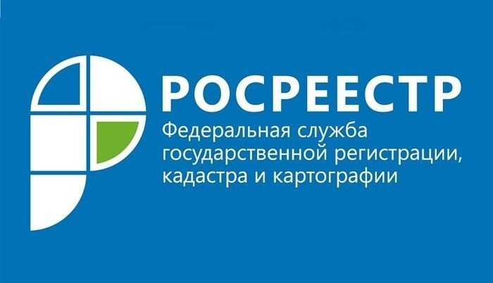 Какие виды землеустроительных экспертиз проводятся в Новороссийске