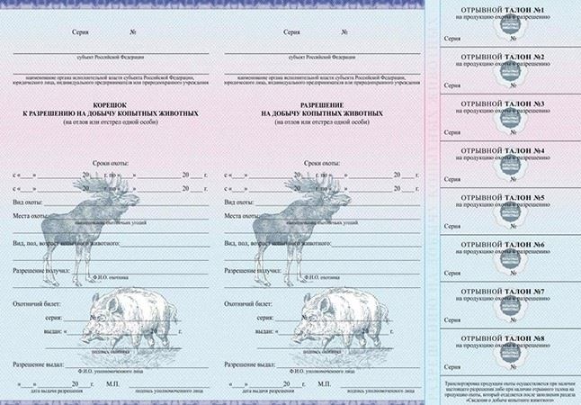 Лицензия на охоту на лося для отстрела