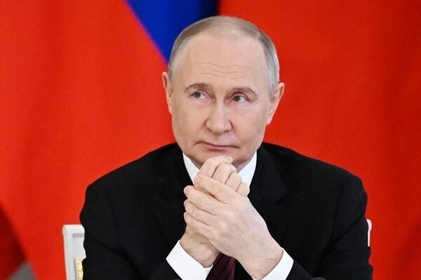 Миронов Марат Игоревич, ИНН 253906566616 в ЕГРЮЛ и Реестре ИП