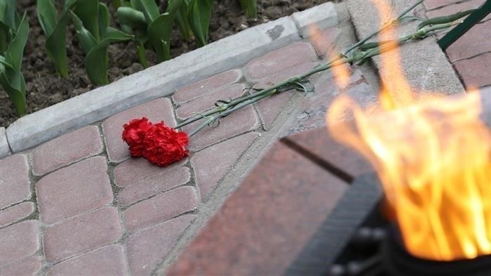 Обзор законодательства о праздновании Победы СССР во Второй мировой войне