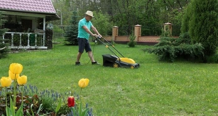 Как получить свидетельство о регистрации для приватизации: Пошаговое руководство