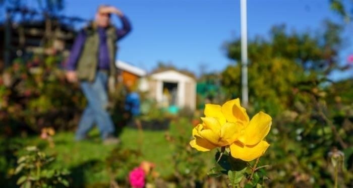 Где получить и как оформить подтверждение адреса в 2025 году