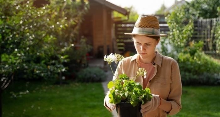 Причины отказа в выдаче адресного сертификата
