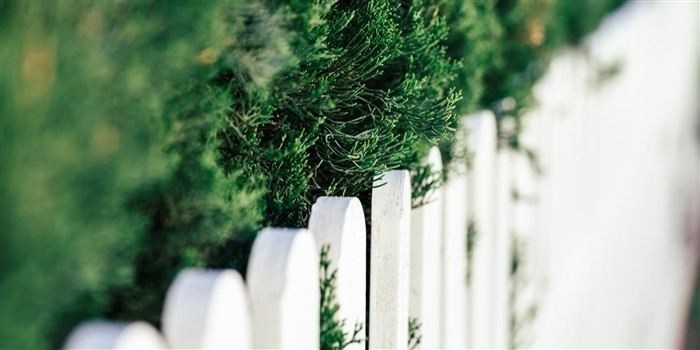 Как оформить заявление для установления границ участка