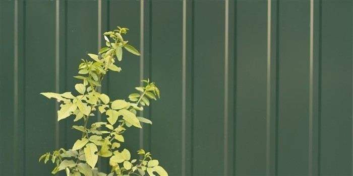 Подготовка документации для определения границ участка