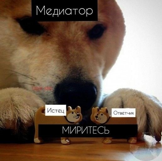 Как мировое соглашение влияет на стороны конфликта?